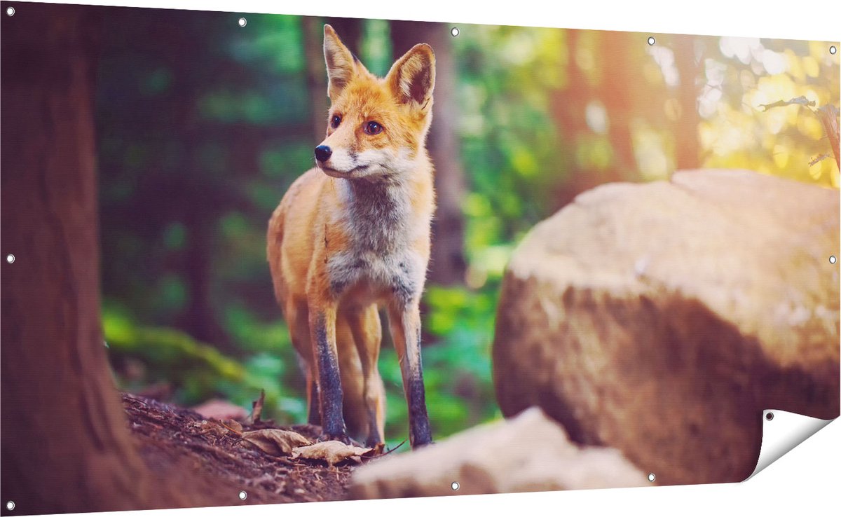 Gards Tuinposter Vos in het Bos bij Stenen - 200x100 cm - Tuindoek - Tuindecoratie - Wanddecoratie buiten - Tuinschilderij Multikleur
