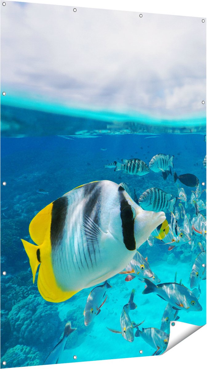 Gards Tuinposter Zwerm Gele Vissen in het Water - 120x180 cm - Tuindoek - Tuindecoratie - Wanddecoratie buiten - Tuinschilderij Multikleur