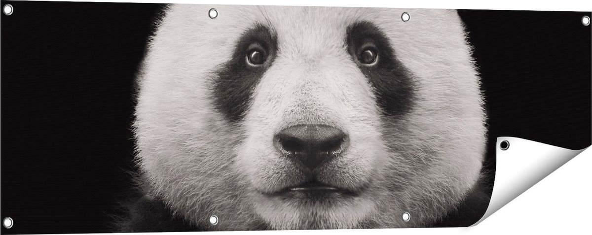 Gards Tuinposter Panda - Pandakop - 120x40 cm - Tuindoek - Tuindecoratie - Wanddecoratie buiten - Tuinschilderij Multikleur
