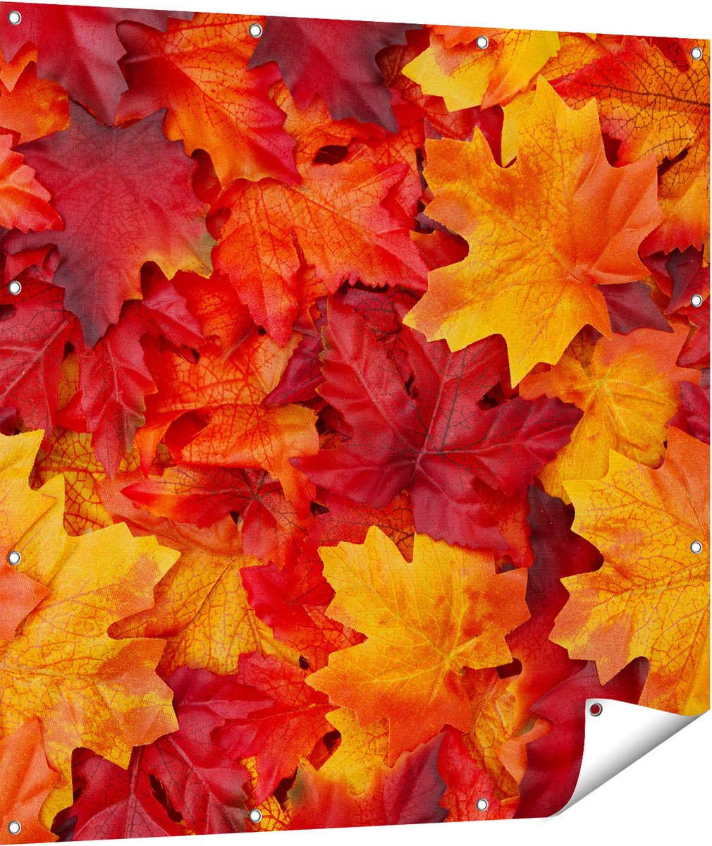Gards Tuinposter Herfstbladeren in het Oranje en Rood - 110x110 cm - Tuindoek - Tuindecoratie - Wanddecoratie buiten - Tuinschilderij Multikleur