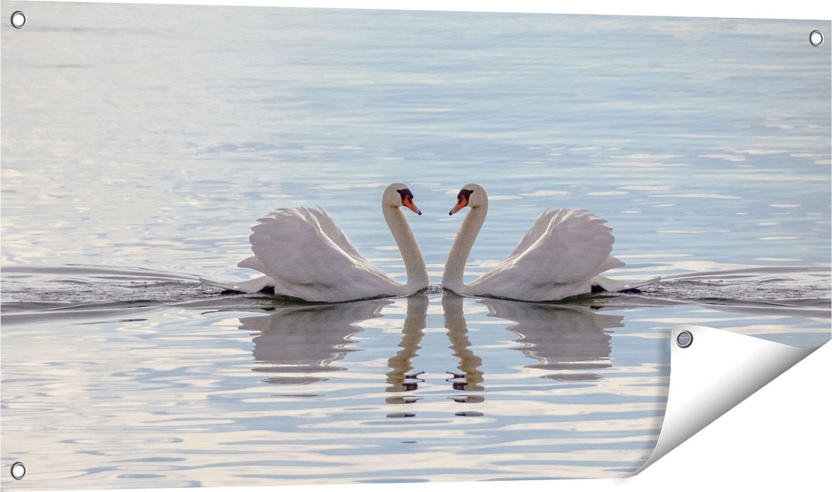 Gards Tuinposter Zwanen Koppel op het Water - 100x50 cm - Tuindoek - Tuindecoratie - Wanddecoratie buiten - Tuinschilderij Multikleur