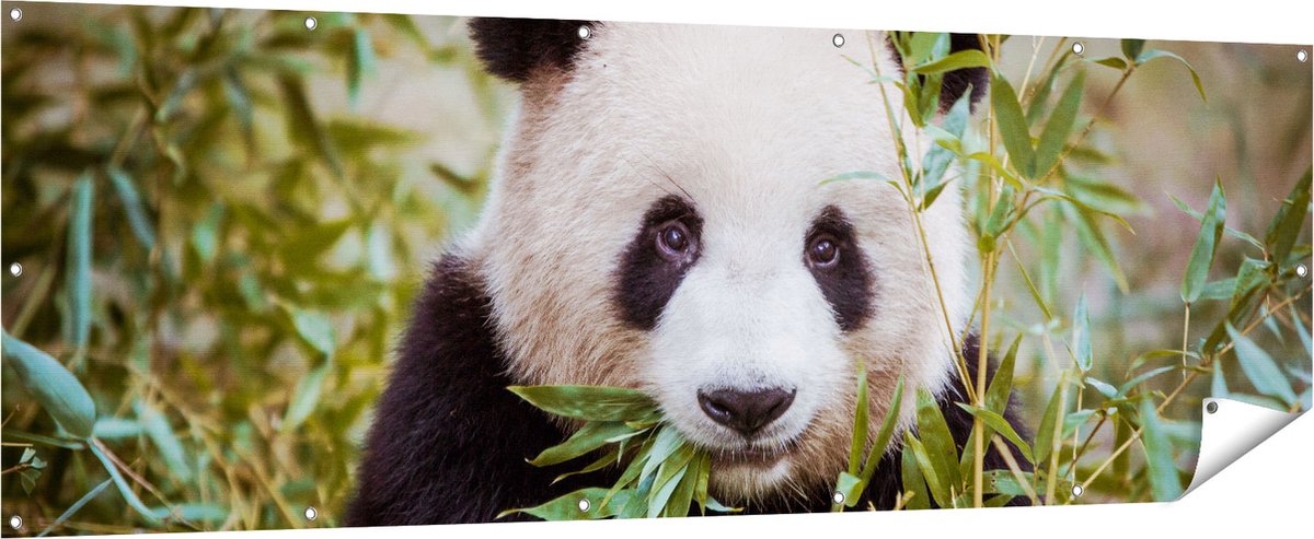 Gards Tuinposter Panda Eet Planten - 210x70 cm - Tuindoek - Tuindecoratie - Wanddecoratie buiten - Tuinschilderij Multikleur