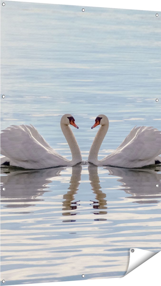 Gards Tuinposter Zwanen Koppel op het Water - 100x150 cm - Tuindoek - Tuindecoratie - Wanddecoratie buiten - Tuinschilderij Multikleur