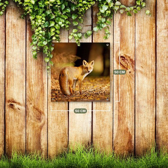 Gards Tuinposter Vos in het Herfstbos - 50x50 cm - Tuindoek - Tuindecoratie - Wanddecoratie buiten - Tuinschilderij