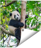 Gards Tuinposter Panda in de Bomen - 40x40 cm - Tuindoek - Tuindecoratie - Wanddecoratie buiten - Tuinschilderij