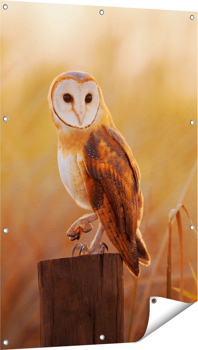 Gards Tuinposter Kerkuil op een Boomstronk - 80x120 cm - Tuindoek - Tuindecoratie - Wanddecoratie buiten - Tuinschilderij Multikleur