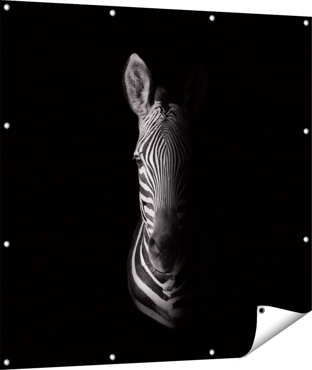 Gards Tuinposter Halve Zebra - Zwart Wit - 110x110 cm - Tuindoek - Tuindecoratie - Wanddecoratie buiten - Tuinschilderij Multikleur