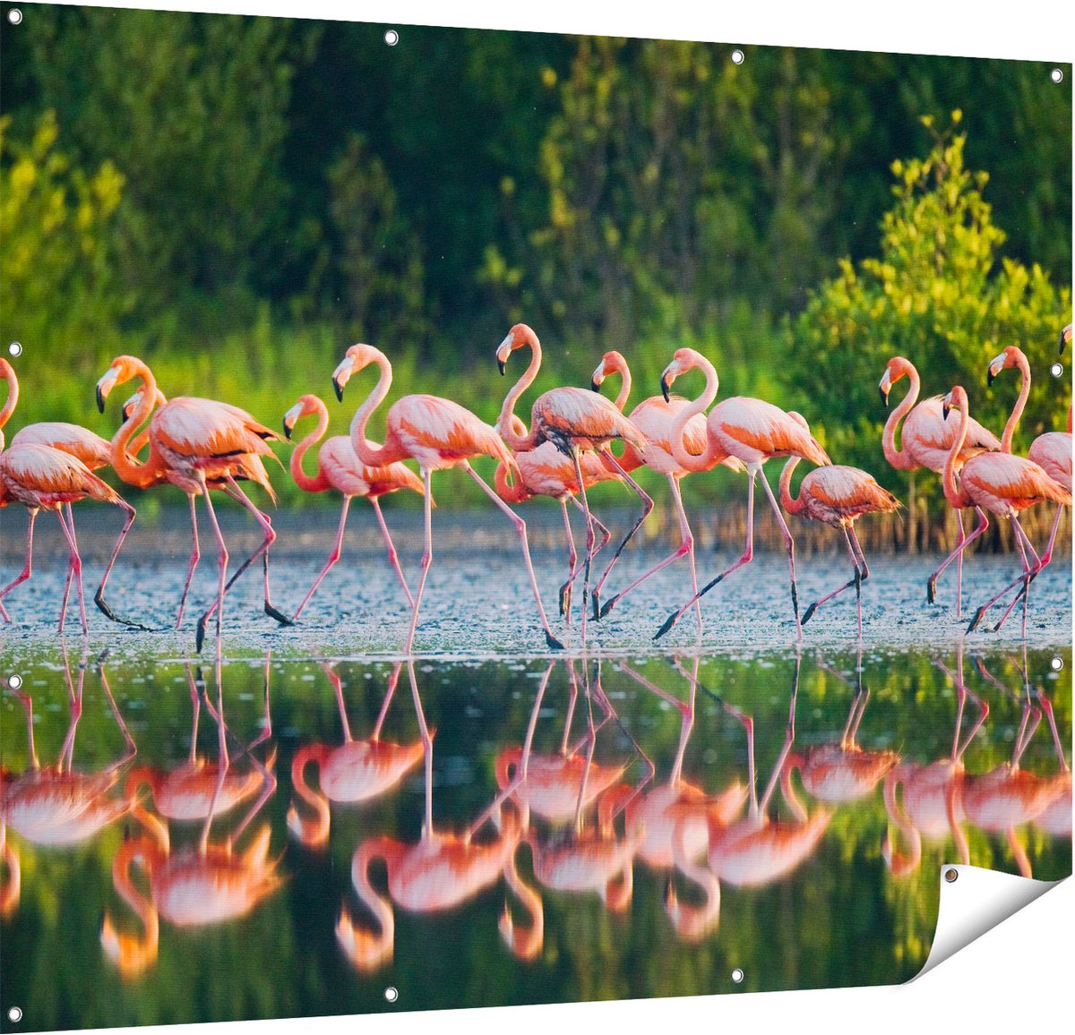 Gards Tuinposter Kudde Flamingo's op het Water - 150x120 cm - Tuindoek - Tuindecoratie - Wanddecoratie buiten - Tuinschilderij Multikleur