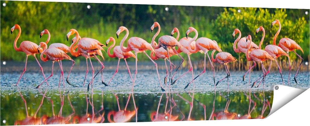 Gards Tuinposter Kudde Flamingo's op het Water - 180x60 cm - Tuindoek - Tuindecoratie - Wanddecoratie buiten - Tuinschilderij Multikleur