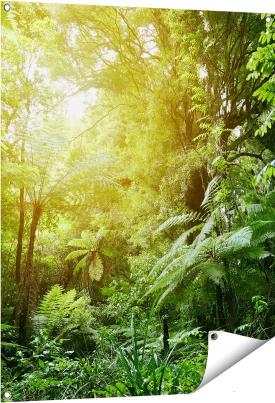 Gards Tuinposter Tropische Jungle met Zonneschijn - 80x100 cm - Tuindoek - Tuindecoratie - Wanddecoratie buiten - Tuinschilderij