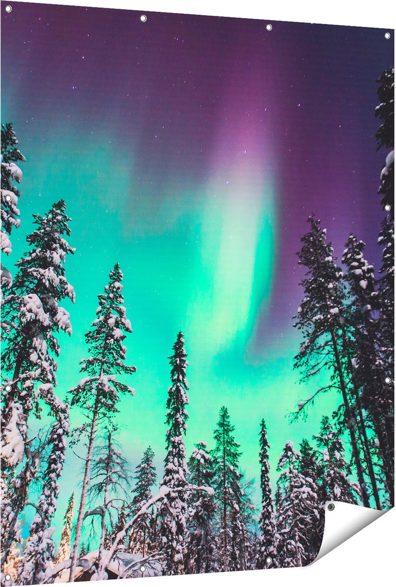 Gards Tuinposter Noorderlicht in de Bossen van Noorwegen - 120x150 cm - Tuindoek - Tuindecoratie - Wanddecoratie buiten - Tuinschilderij Multikleur