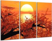 GroepArt - Schilderij -  Natuur - Oranje, Geel, Zwart - 120x80cm 3Luik - 6000+ Schilderijen 0p Canvas Art Collectie