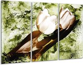 GroepArt - Schilderij -  Tulpen - Groen, Bruin, Wit - 120x80cm 3Luik - 6000+ Schilderijen 0p Canvas Art Collectie