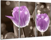 Peinture sur toile Tulipe | Violet, gris | 120x80cm 3 Liège