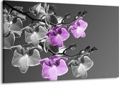Peinture sur toile Orchidée | Gris, violet, noir | 140x90cm 1 Liège