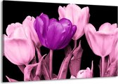 Peinture sur toile Tulipe | Violet, rose, noir | 140x90cm 1 Liège