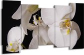GroepArt - Canvas Schilderij - Orchidee - Wit, Zwart, Geel - 150x80cm 5Luik- Groot Collectie Schilderijen Op Canvas En Wanddecoraties