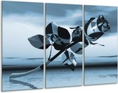 Glasschilderij Bloem, Roos - Blauw, Zilver - 120x80cm 3Luik - Foto Op Glas - Geen Acrylglas Schilderij - GroepArt 6000+ Glas Art Collectie - Maatwerk Mogelijk