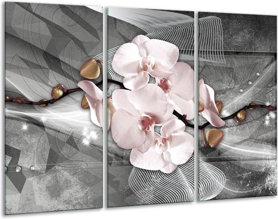 GroepArt - Schilderij -  Orchidee, Bloemen - Grijs - 120x80cm 3Luik - 6000+ Schilderijen 0p Canvas Art Collectie