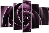 Peinture sur verre rose | Violet, noir | 170x100cm 5 Liège | Tirage photo sur verre |  F002035