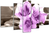 Glasschilderij Orchidee - Paars, Grijs - 170x100cm 5Luik - Foto Op Glas - Geen Acrylglas Schilderij - 6000+ Glasschilderijen Collectie - Wanddecoratie