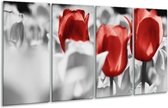 Peinture sur verre tulipes | Rouge, gris, blanc | 160x80cm 4 Liège | Tirage photo sur verre | F002779