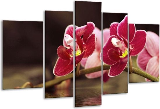Glasschilderij Orchidee - Zwart, Rood - 170x100cm 5Luik - Foto Op Glas - Geen Acrylglas Schilderij - 6000+ Glasschilderijen Collectie - Wanddecoratie