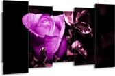 Peinture sur toile Rose | Violet, blanc, noir | 150x80cm 5Liège