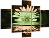Glasschilderij -  Bloem - Groen, Bruin, Zwart - 100x70cm 5Luik - Geen Acrylglas Schilderij - GroepArt 6000+ Glasschilderijen Collectie - Wanddecoratie- Foto Op Glas