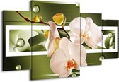 GroepArt - Schilderij -  Orchidee - Groen, Roze, Wit - 160x90cm 4Luik - Schilderij Op Canvas - Foto Op Canvas