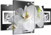 GroepArt - Schilderij -  Orchidee - Grijs, Wit - 160x90cm 4Luik - Schilderij Op Canvas - Foto Op Canvas