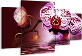 GroepArt - Schilderij -  Orchidee - Paars, Roze, Rood - 160x90cm 4Luik - Schilderij Op Canvas - Foto Op Canvas