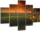 Peinture sur verre Nature | Vert, marron | 100x70cm 5Liège | Tirage photo sur verre |  F001655