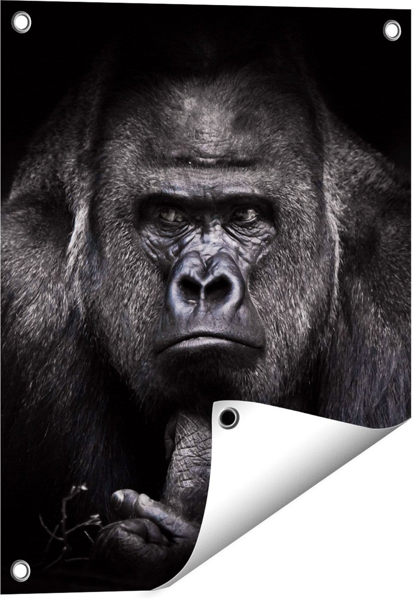 Gards Tuinposter Gorilla - Zwart Wit - 40x50 cm - Tuindoek - Tuindecoratie - Wanddecoratie buiten - Tuinschilderij Multikleur