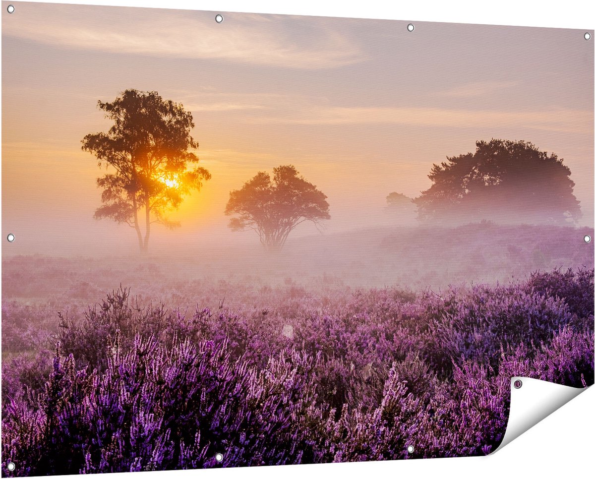 Gards Tuinposter Weide in de Veluwe bij Zonsondergang - 150x100 cm - Tuindoek - Tuindecoratie - Wanddecoratie buiten - Tuinschilderij Multikleur