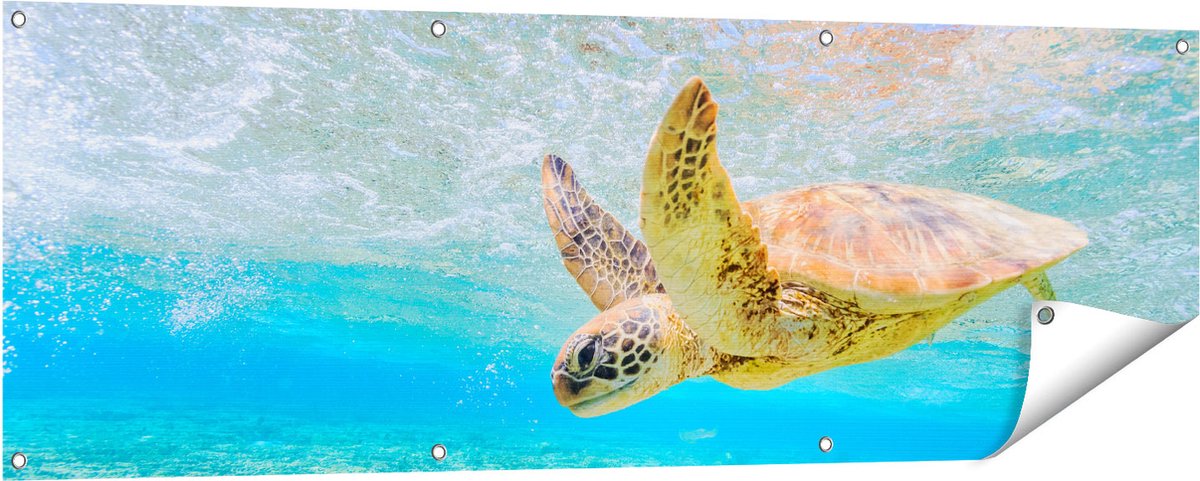 Gards Tuinposter Schildpad Zwemt in de Zee bij het Rif - 150x50 cm - Tuindoek - Tuindecoratie - Wanddecoratie buiten - Tuinschilderij Multikleur