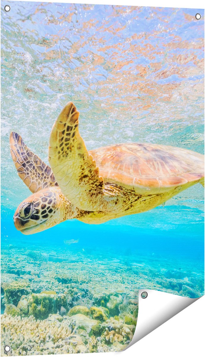 Gards Tuinposter Schildpad Zwemt in de Zee bij het Rif - 60x90 cm - Tuindoek - Tuindecoratie - Wanddecoratie buiten - Tuinschilderij Multikleur