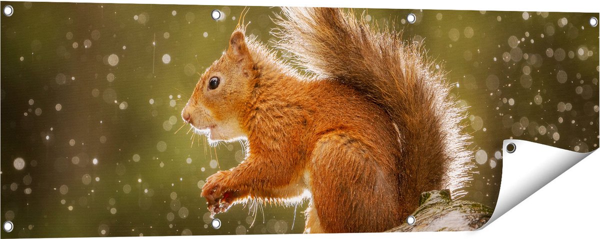 Gards Tuinposter Eekhoorn in de Regen - 120x40 cm - Tuindoek - Tuindecoratie - Wanddecoratie buiten - Tuinschilderij Multikleur