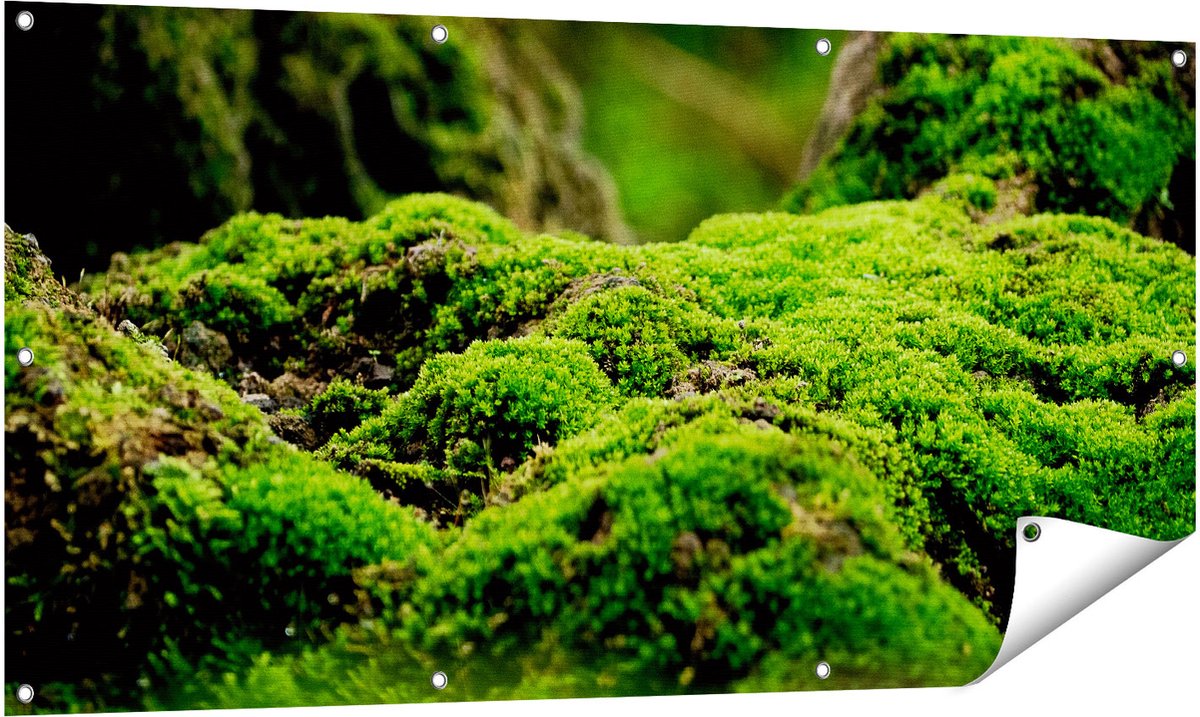 Gards Tuinposter Groen Mos - 140x70 cm - Tuindoek - Tuindecoratie - Wanddecoratie buiten - Tuinschilderij Multikleur