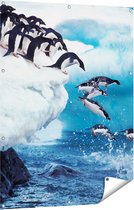 Gards Tuinposter Kudde Pingu�ns Springen vanaf een Rots - 90x120 cm - Tuindoek - Tuindecoratie - Wanddecoratie buiten - Tuinschilderij