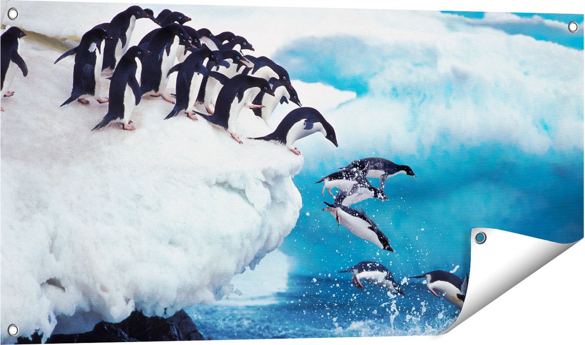 Gards Tuinposter Kudde Pingu�ns Springen vanaf een Rots - 100x50 cm - Tuindoek - Tuindecoratie - Wanddecoratie buiten - Tuinschilderij Multikleur