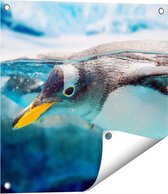 Gards Tuinposter Pingu�n Zwemt onder Water - 50x50 cm - Tuindoek - Tuindecoratie - Wanddecoratie buiten - Tuinschilderij