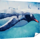 Gards Tuinposter Pingu�n Zwemt in het Water - 150x120 cm - Tuindoek - Tuindecoratie - Wanddecoratie buiten - Tuinschilderij