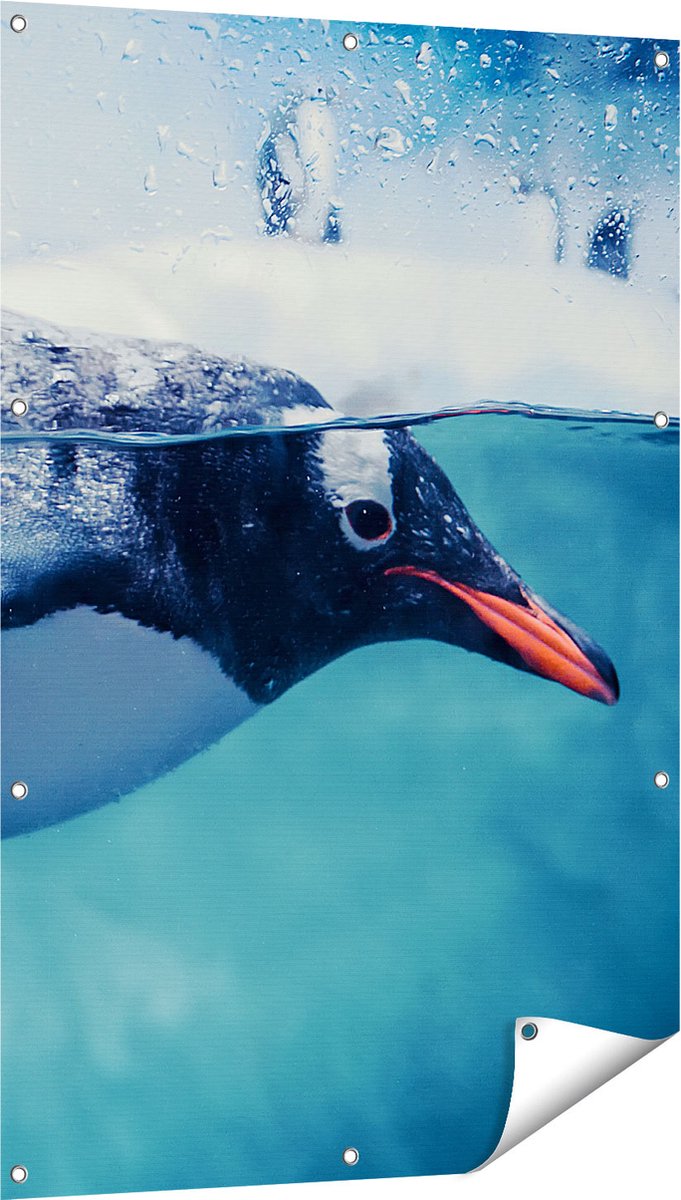 Gards Tuinposter Pingu�n Zwemt in het Water - 80x120 cm - Tuindoek - Tuindecoratie - Wanddecoratie buiten - Tuinschilderij Multikleur