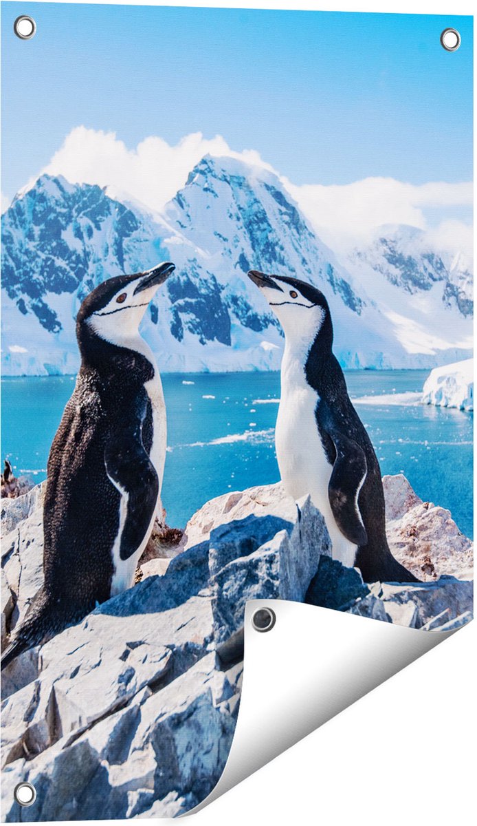 Gards Tuinposter Twee Pingu�ns op Stenen in Antarctica - 40x60 cm - Tuindoek - Tuindecoratie - Wanddecoratie buiten - Tuinschilderij Multikleur