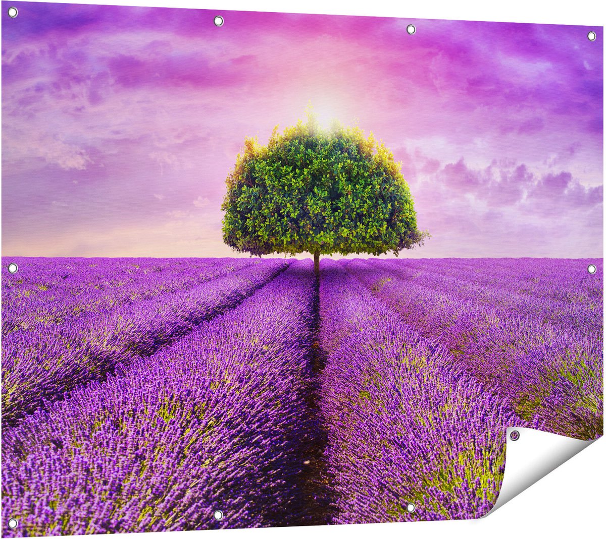 Gards Tuinposter Groene Boom in de Lavendel Bloemen - 120x90 cm - Tuindoek - Tuindecoratie - Wanddecoratie buiten - Tuinschilderij Multikleur