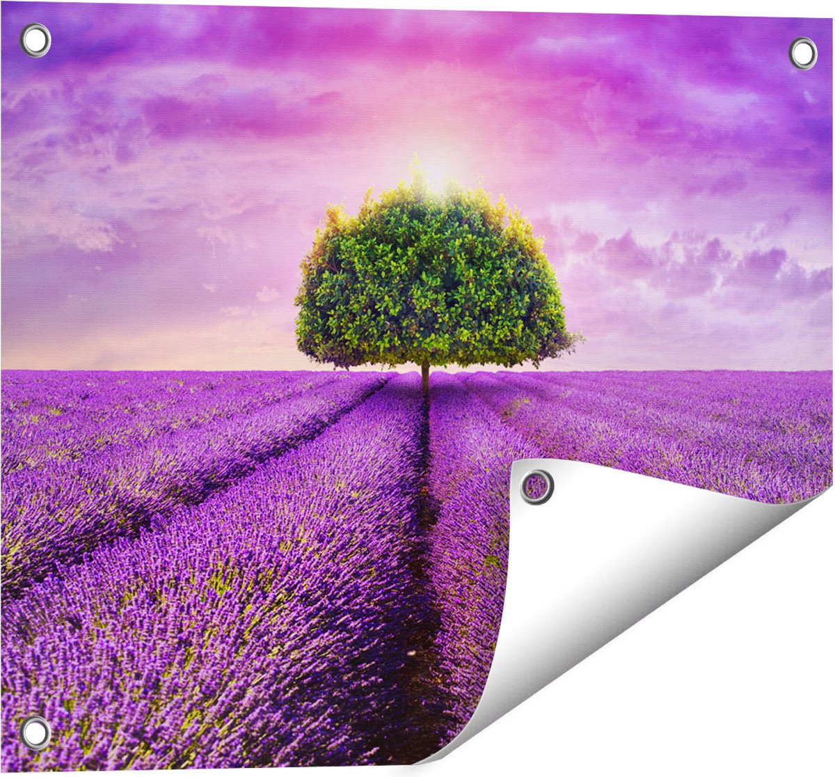 Gards Tuinposter Groene Boom in de Lavendel Bloemen - 50x40 cm - Tuindoek - Tuindecoratie - Wanddecoratie buiten - Tuinschilderij Multikleur