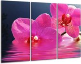 Glasschilderij Orchidee - Paars, Wit, Blauw - 120x80cm 3Luik - Foto Op Glas - Geen Acrylglas Schilderij - GroepArt 6000+ Glas Art Collectie - Maatwerk Mogelijk