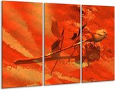 Glasschilderij Roos - Oranje, Rood, Geel - 120x80cm 3Luik - Foto Op Glas - Geen Acrylglas Schilderij - GroepArt 6000+ Glas Art Collectie - Maatwerk Mogelijk