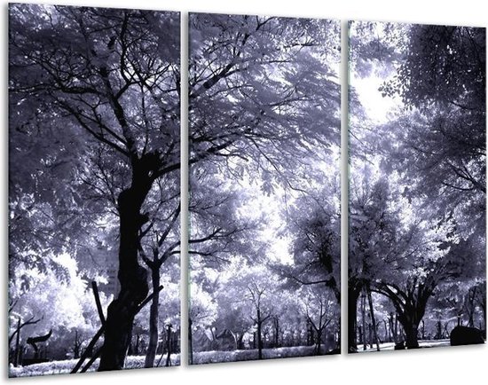 Glasschilderij Bomen - Bos - Grijs, Wit, Zwart - 120x80cm 3Luik - Foto Op Glas - Geen Acrylglas Schilderij - GroepArt 6000+ Glas Art Collectie - Maatwerk Mogelijk